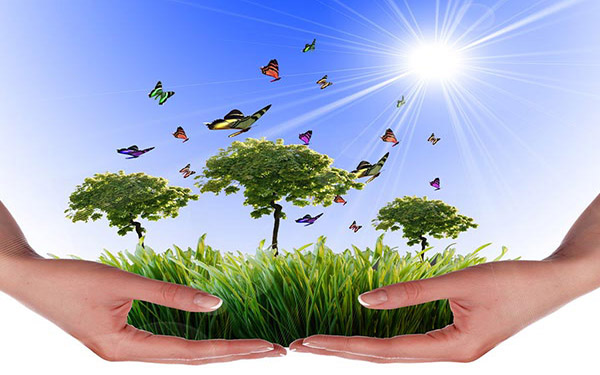 木薯渣烘干設(shè)備生產(chǎn)線(xiàn)結(jié)構(gòu)由哪些部分組成 木薯渣烘干設(shè)備生產(chǎn)線(xiàn)結(jié)構(gòu)由哪些部分組成